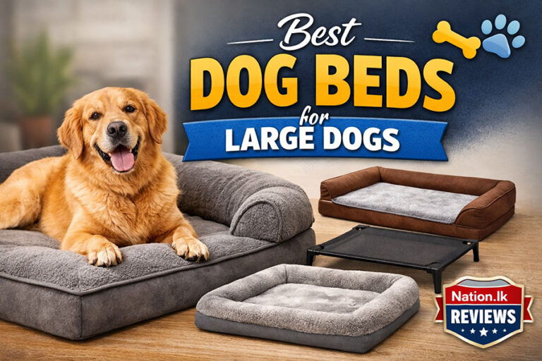 Best Dog Beds for Large Dogs (2026 Review)