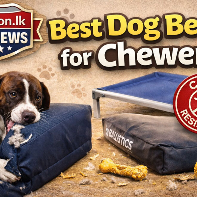 Best Dog Beds for Chewers (2026 Review)