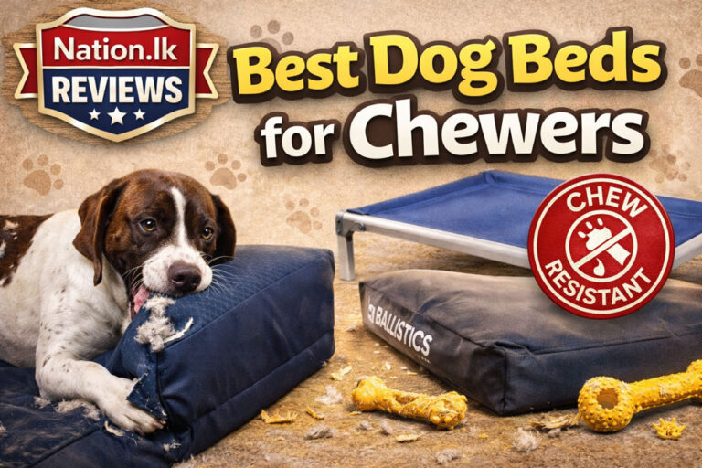 Best Dog Beds for Chewers (2026 Review)