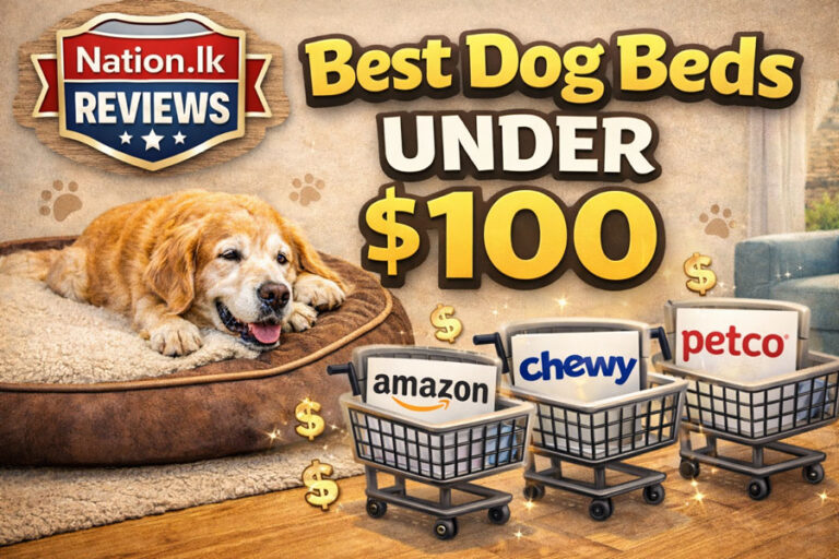 Best Dog Beds Under $100 (2026 Review)