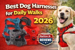 Best Dog Harnesses for Daily Walks (2026 Guide)
