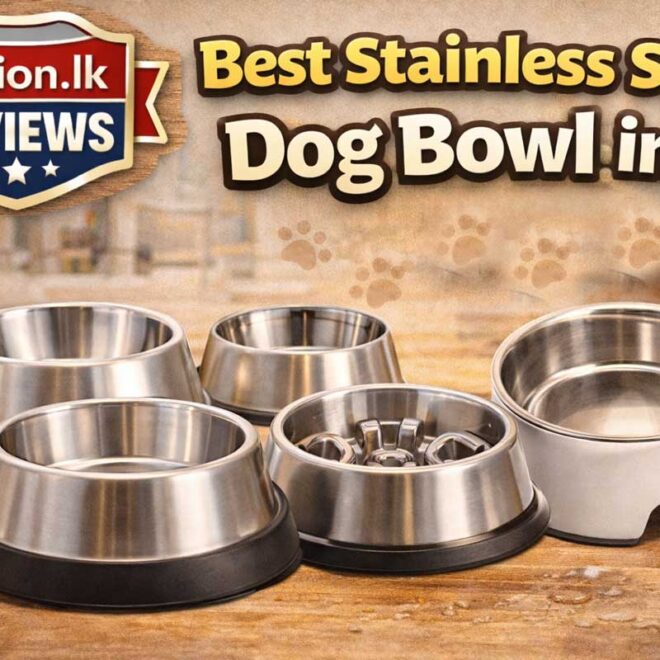 Best Stainless Steel Dog Bowl in 2026