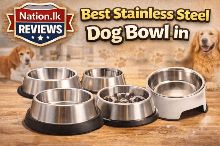 Best Stainless Steel Dog Bowl in 2026