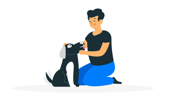The Rising Costs of Pet Ownership in 2024: What You Need to Know