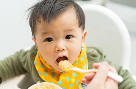 Review of the Nutritional and Promotional Profile of Commercial Foods for Infants and Toddlers in the United States