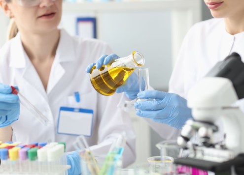 The Olive Tree’s Genetic Blueprint - Key Discoveries in High-Quality Olive Oil Production