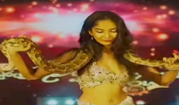 Court Orders Arrest of ‘Avurudu Princess’ Over Python Dance