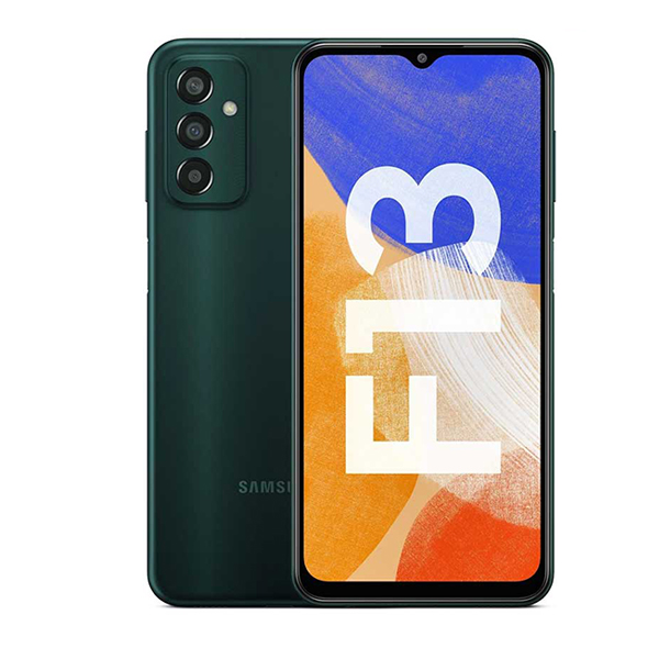 Galaxy F13